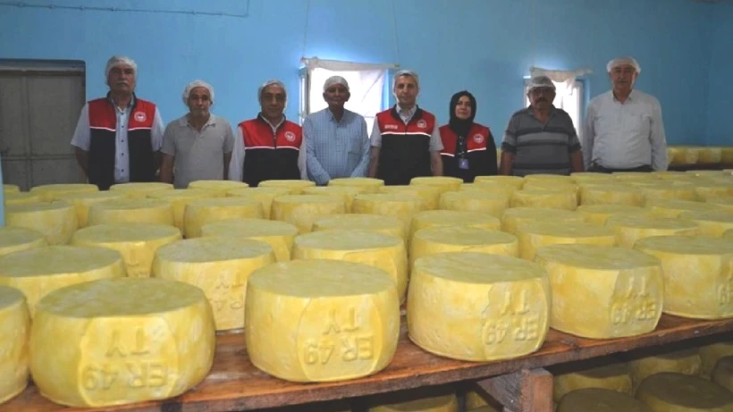 5 Kardeş Birleşip Yeni İş Kurdu, Anında Zengin Oldu: 1 Yıl Bekliyor, Altın Değerinde Satılıyor - Resim: 5