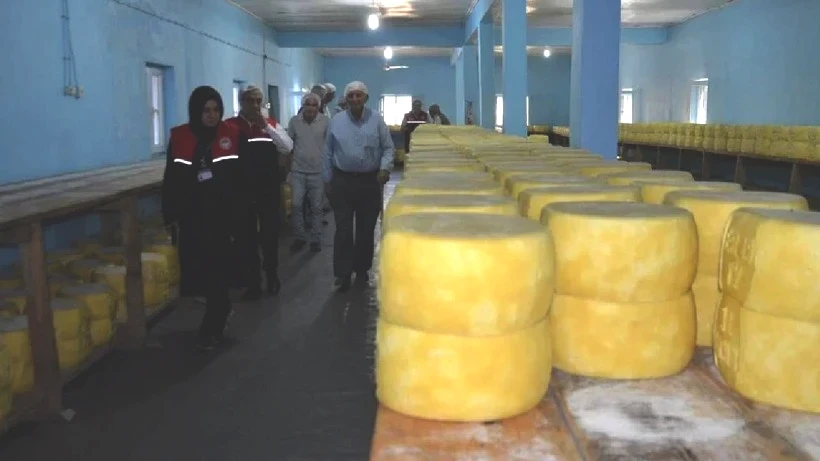 5 Kardeş Birleşip Yeni İş Kurdu, Anında Zengin Oldu: 1 Yıl Bekliyor, Altın Değerinde Satılıyor - Resim: 2
